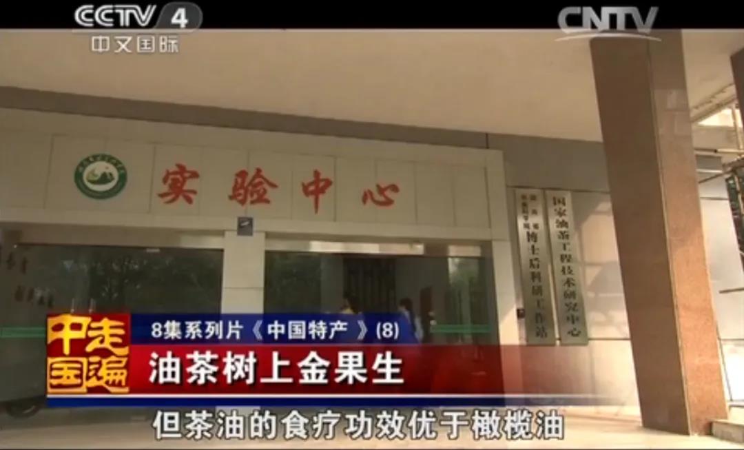 中央电视台给中国山茶油打call：为何中国家庭偏爱山茶油？